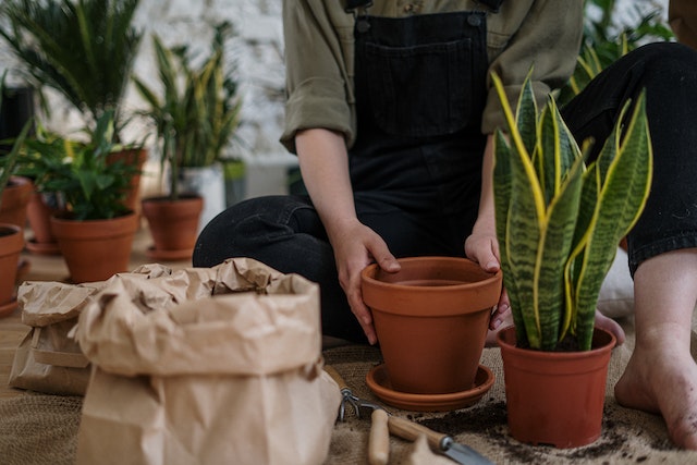 Choosing the Best Material for Healthy Plants