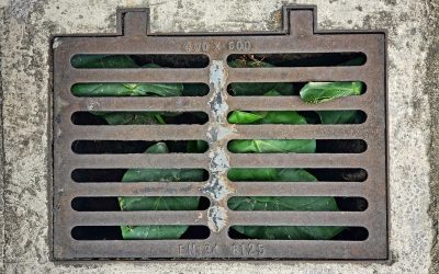 Top Signs That Your French Drain Needs Repair